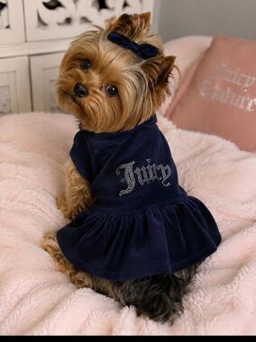 Juicy couture M/L terry velour bling dog/cat pet clothes hoodie nwt rhinestone